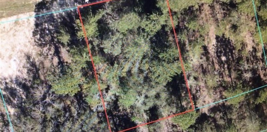 Land in Ocala, Florida № 2161655