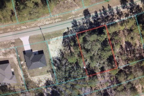 Land in Ocala, Florida № 2161655 - photo 2