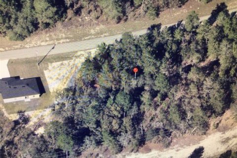 Land in Ocala, Florida № 2161655 - photo 3