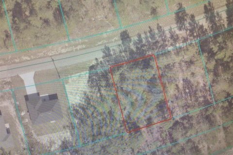 Land in Ocala, Florida № 2161655 - photo 4
