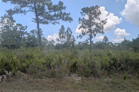Land in Indian lake estates, Florida № 2221713 - photo 2