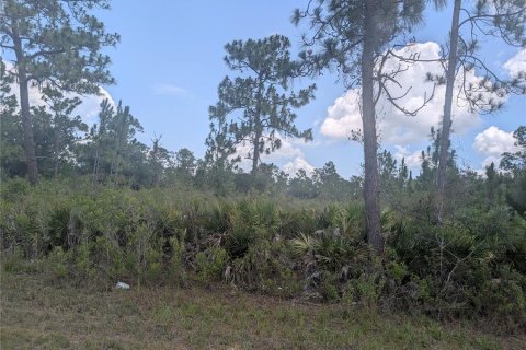 Land in Indian lake estates, Florida № 2221713