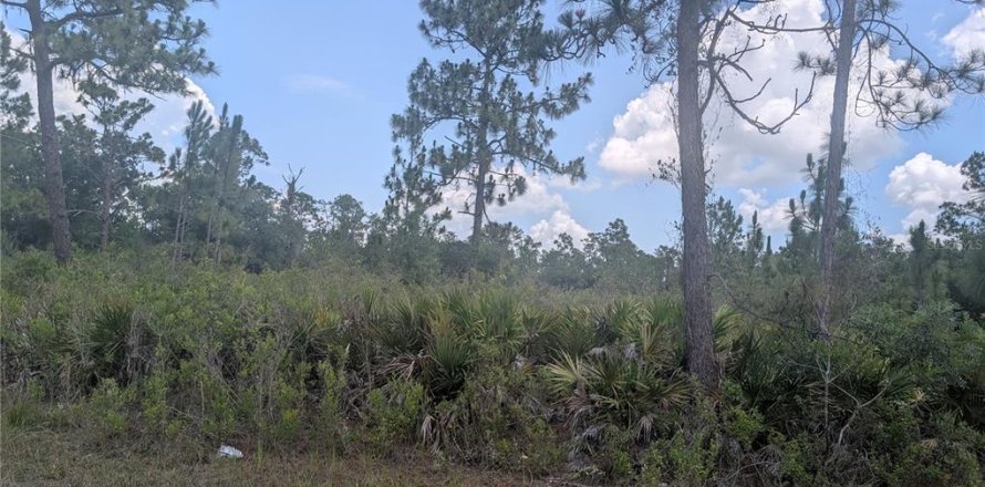 Land in Indian lake estates, Florida № 2221713