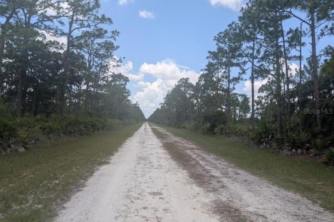 Land in Indian lake estates, Florida № 2221713 - photo 3