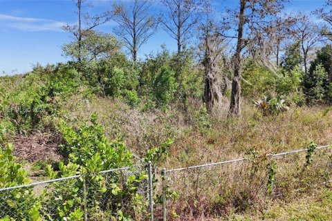 Terreno en venta en Boca Raton, Florida № 2088521 - foto 10