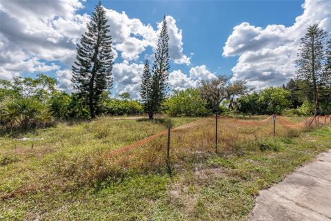Land in Ruskin, Florida № 1719552 - photo 15