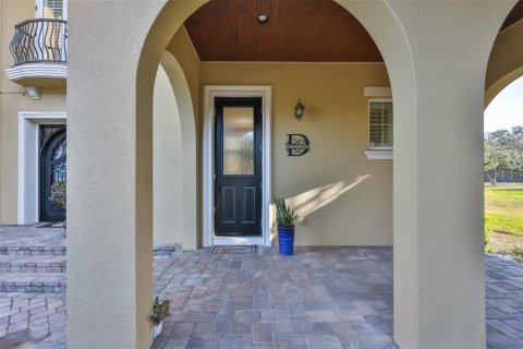 House in Odessa, Florida 5 bedrooms, 343.65 sq.m. № 2110874 - photo 17