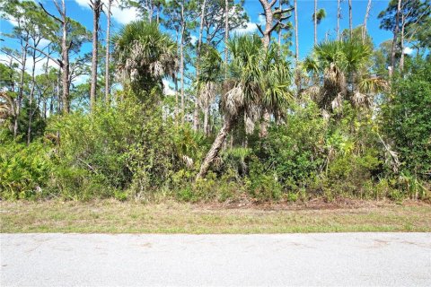Land in Port Charlotte, Florida № 2159132 - photo 6