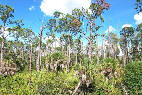 Land in Port Charlotte, Florida № 2159132 - photo 12
