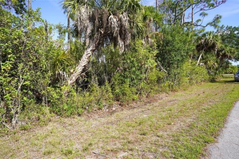 Land in Port Charlotte, Florida № 2159132 - photo 4