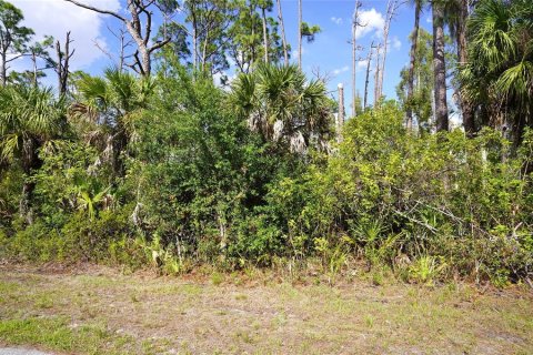 Land in Port Charlotte, Florida № 2159132