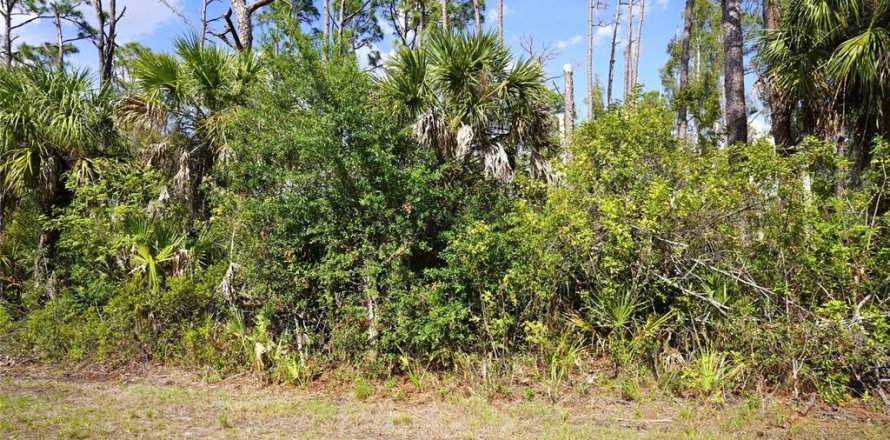 Land in Port Charlotte, Florida № 2159132