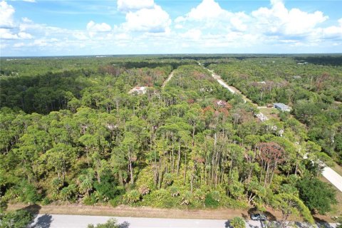 Land in Port Charlotte, Florida № 2159132 - photo 7