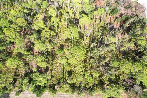 Land in Port Charlotte, Florida № 2159132 - photo 10