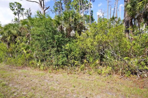 Land in Port Charlotte, Florida № 2159132 - photo 2