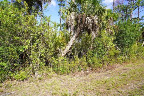 Land in Port Charlotte, Florida № 2159132 - photo 3