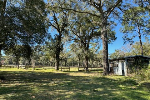 Casa en alquiler en Ocala, Florida, 3 dormitorios, 139.73 m2 № 2229383 - foto 25