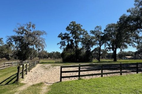 Casa en alquiler en Ocala, Florida, 3 dormitorios, 139.73 m2 № 2229383 - foto 29