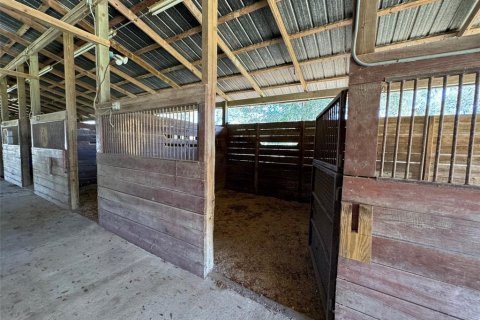 Casa en alquiler en Ocala, Florida, 3 dormitorios, 139.73 m2 № 2229383 - foto 22