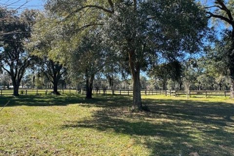 Casa en alquiler en Ocala, Florida, 3 dormitorios, 139.73 m2 № 2229383 - foto 26