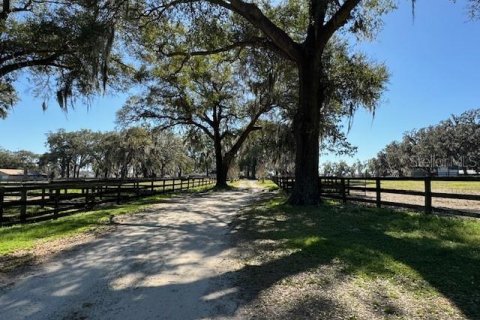 Casa en alquiler en Ocala, Florida, 3 dormitorios, 139.73 m2 № 2229383 - foto 28