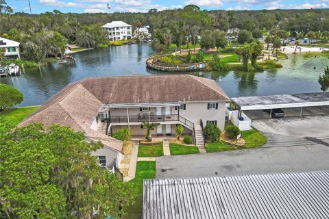 Condo à Crystal River, Floride, 2 chambres  № 2406569