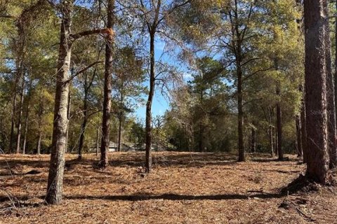 Terrain à vendre à Ocala, Floride № 2159764 - photo 5
