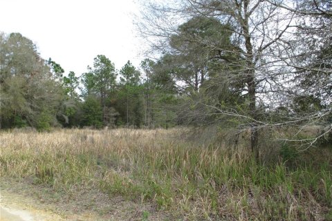 Land in Ocala, Florida № 2158801