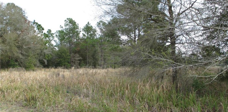 Land in Ocala, Florida № 2158801