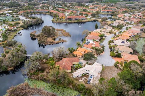 Villa ou maison à Land O' Lakes, Floride 3 chambres, 289.48 m2 № 2413895