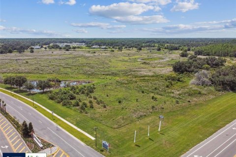Terreno en venta en Zephyrhills, Florida № 1810807 - foto 21