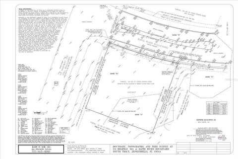 Land in Zephyrhills, Florida № 1810807 - photo 27