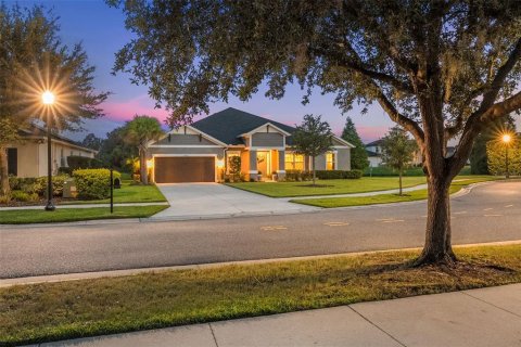 House in Wesley Chapel, Florida 4 bedrooms, 297.38 sq.m. № 1866022 - photo 1
