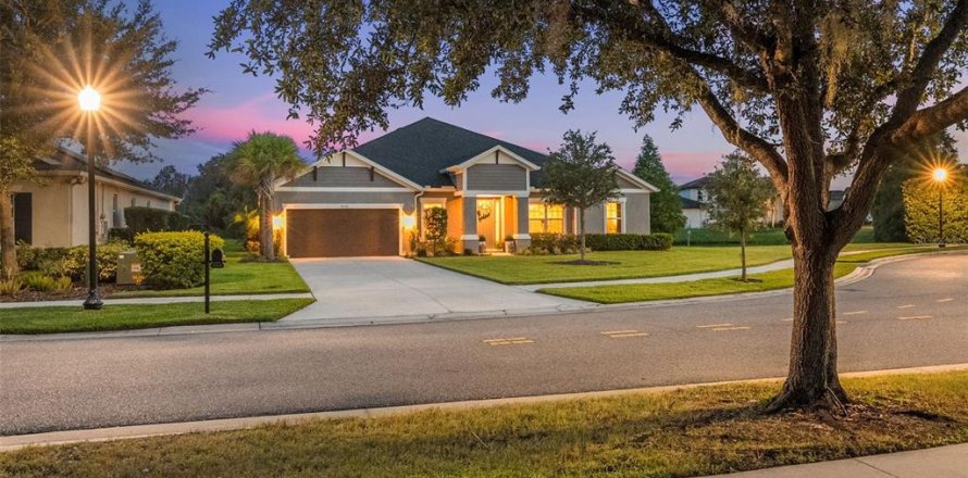 House in Wesley Chapel, Florida 4 bedrooms, 297.38 sq.m. № 1866022