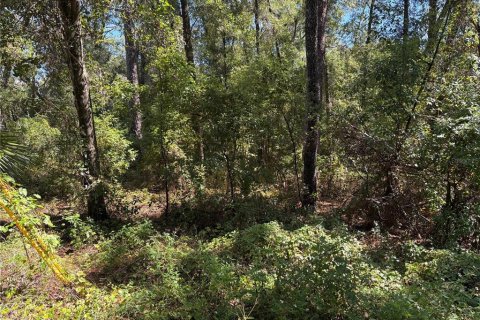 Land in Inverness, Florida № 2164362