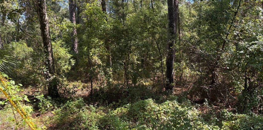 Land in Inverness, Florida № 2164362