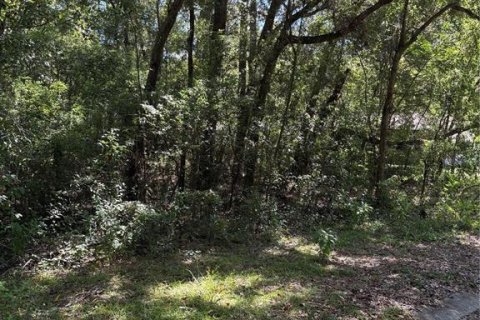 Land in Inverness, Florida № 2164362 - photo 3