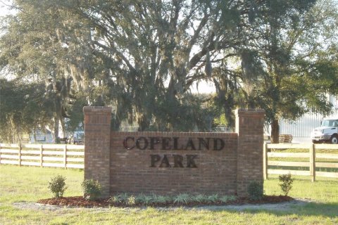 Land in Alachua, Florida № 2125738 - photo 2