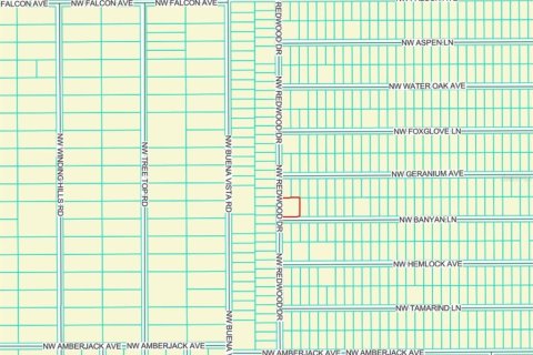Купить земельный участок в Даннеллон, Флорида № 2164558 - фото 3