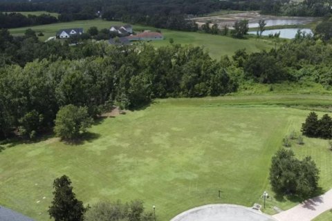 Land in Dade City, Florida № 1883314 - photo 1
