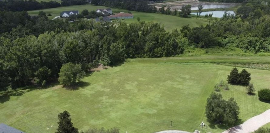 Land in Dade City, Florida № 1883314