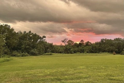 Land in Dade City, Florida № 1883314 - photo 2