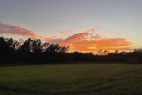 Land in Dade City, Florida № 1883314 - photo 3