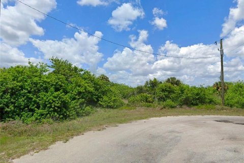 Land in LaBelle, Florida № 1519743 - photo 2