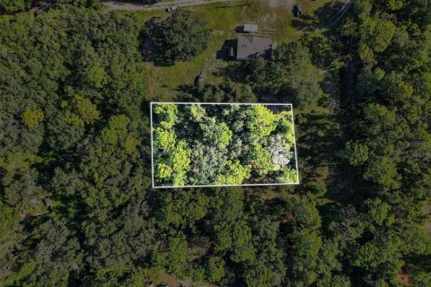 Land in Brooksville, Florida № 1884017 - photo 11