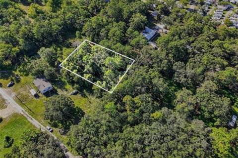 Land in Brooksville, Florida № 1884017 - photo 7