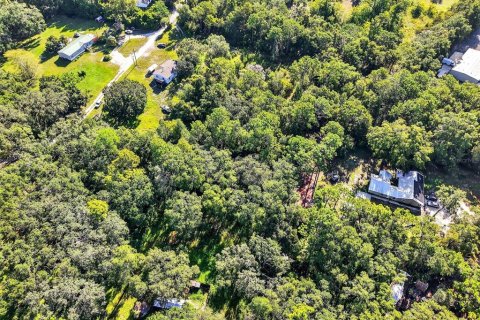 Land in Brooksville, Florida № 1884017 - photo 10