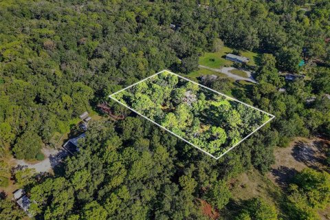 Land in Brooksville, Florida № 1884017 - photo 3