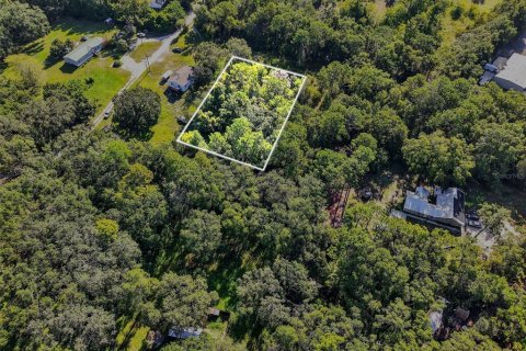 Land in Brooksville, Florida № 1884017 - photo 9