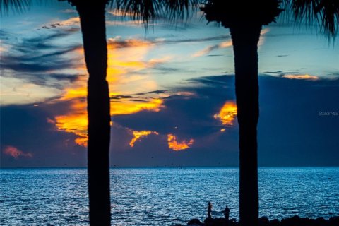 Condominio en venta en Saint Pete Beach, Florida, 1 dormitorio, 96.25 m2 № 2205200 - foto 6